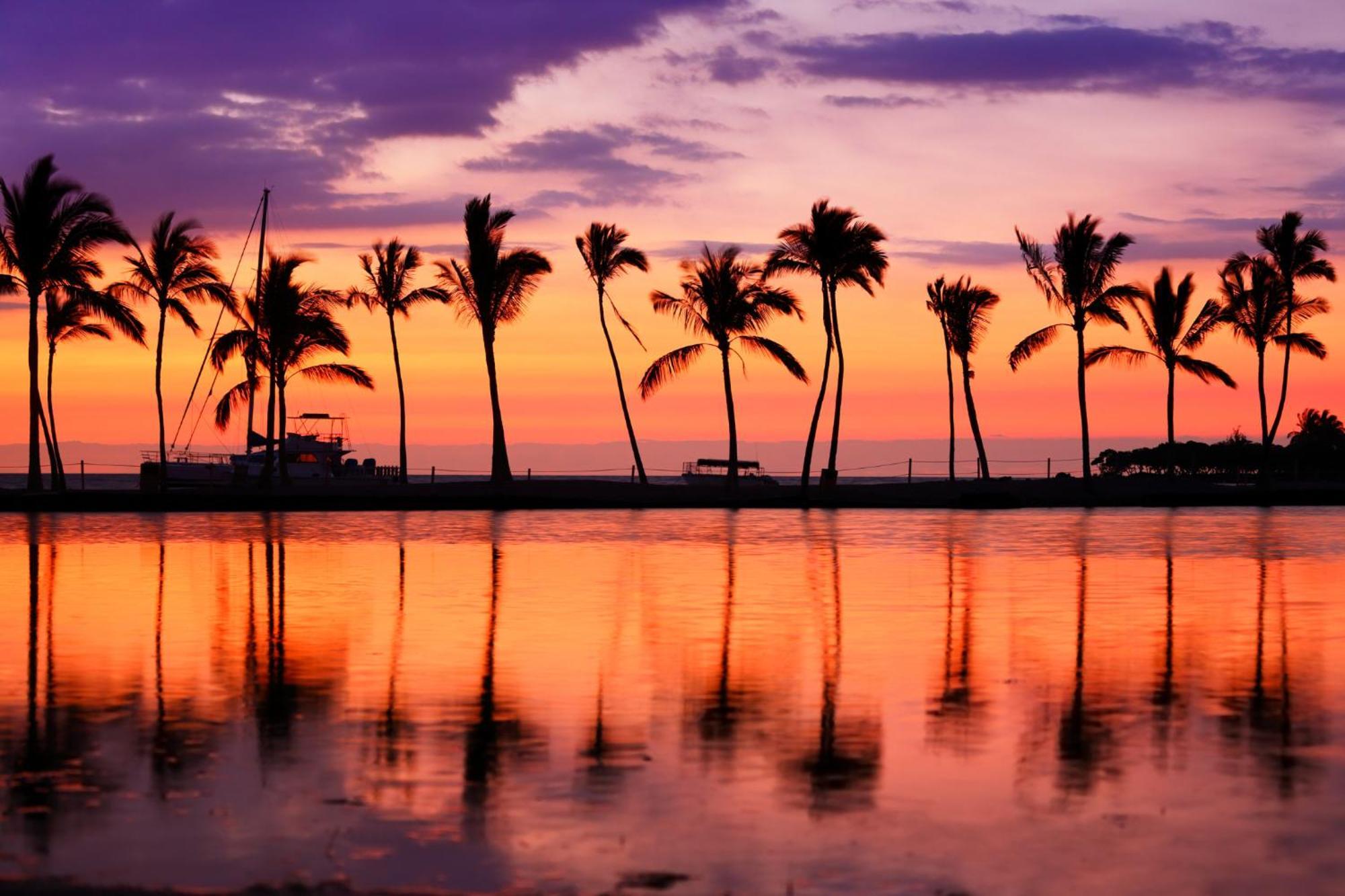 Aloha Vibes With Ocean Views, Near Beach & Parking! Honolulu Exterior foto